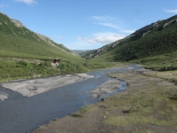 Savage River